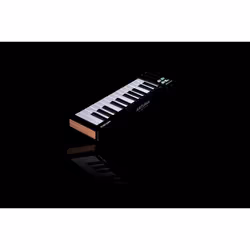 Arturia MicroLab mk3 MIDI keyboard 25 keys USB Black, White - Additional view 3