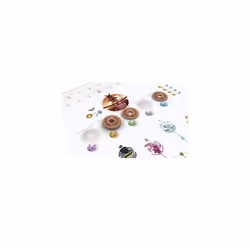 Tokaido Asmodee Board Game - Additional view 6