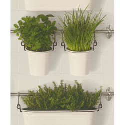 Hanging Basket Wallpaper Rasch Green Grey Botanical Plant Leaf