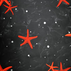 Rasch Deep Sea Starfish Wallpaper Black Red Luxury Textured Paste The Wall Vinyl