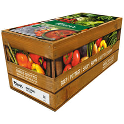 Knorr Professional 100% Minestrone Soup - 4x2.5ltr