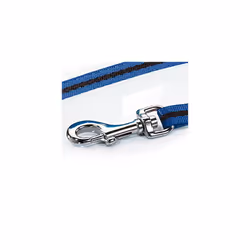 Basic Standard Cord Blue Medium 5m Retractable Dog LeashLead for dogs up to 20kgs44lbs