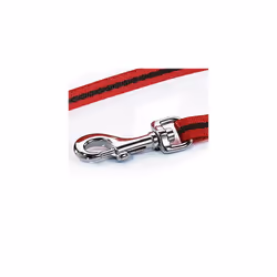 Basic Standard Cord Red Medium 5m Retractable Dog LeashLead for dogs up to 20kgs44lbs