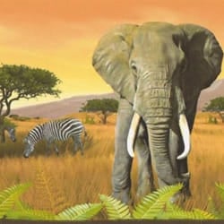 AS Creation Orange Africa Border Wallpaper Safari Sunset Paste The Paper