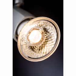 Paulmann 283.55 LED bulb Warm white 2700 K 3 W GU10