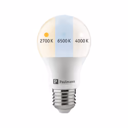 Paulmann LED GLS Whiteswitch 8.5W E27 with step switch
