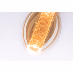 Paulmann 286.00 LED bulb Gold 1800 K 4 W E27 A