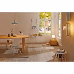 Paulmann 286.74 LED bulb Warm white 2700 K 6.5 W E27 F