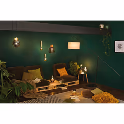 Paulmann 286.76 LED bulb Warm white 2700 K 6.5 W E27