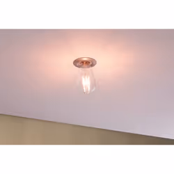 Paulmann 287.03 LED bulb Warm white 2700 K 7.5 W E27