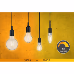 Paulmann 28777 LED bulb 5 W E14 F