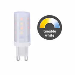 Paulmann 28820 LED bulb 4 W G9 G