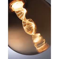 Paulmann Helix LED bulb 1800 K 3.5 W E27