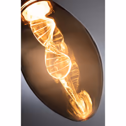 Paulmann Helix LED bulb 1800 K 3.5 W E27