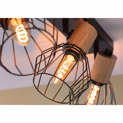 Paulmann 28951 LED bulb 1800 K 4 W E14