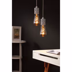 Paulmann 28953 LED bulb 1800 K 5 W E27