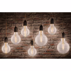 Paulmann 28956 LED bulb Warm white 2700 K 7.5 W E27 F