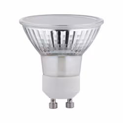 Paulmann 28974 plant grow light LED light