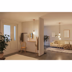 Paulmann 29077 LED bulb Warm white 3000 K 4.3 W E27 F
