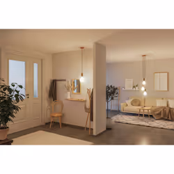 Paulmann 29078 LED bulb Warm white 3000 K 4.3 W E27 F
