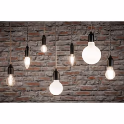 Paulmann 29095 LED bulb Warm white 2700 K 4.8 W E14 F