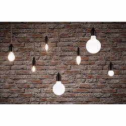 Paulmann 29098 LED bulb Warm white 4000 K 4.8 W E14 F