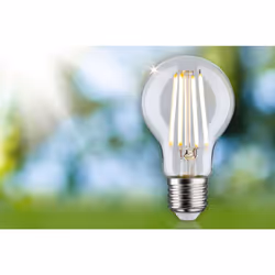 Paulmann 29120 LED bulb Warm white 3000 K 2.5 W E27 A