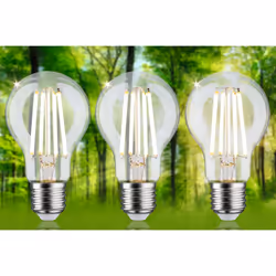 Paulmann 29132 LED bulb Warm white 3000 K 4 W E27 A