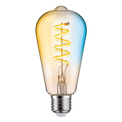 Paulmann 29157 LED bulb White 5500 K 7.5 W E27 G
