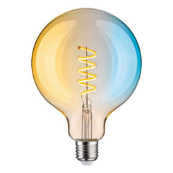 Paulmann 29161 LED bulb White 5500 K 7.5 W E27 G