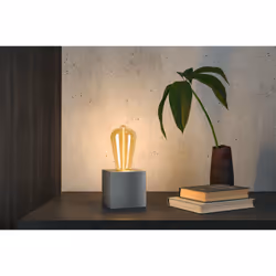 Paulmann 29185 LED bulb 1800 K 2.8 W E27 G