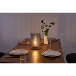Paulmann 48311 table lamp E27 0.8 W LED Taupe