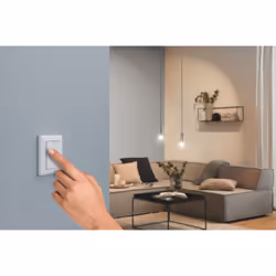 Paulmann 50134 light switch Plastic White