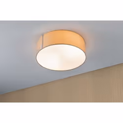 Paulmann 709.52 ceiling lighting E27