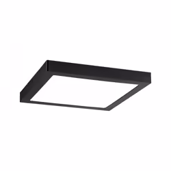 Paulmann Abia, Square, Ceiling, Surface mounted, Black, Plastic, IP20