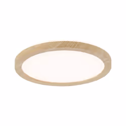 Paulmann Atria, LED, 3000 K, 850 lm, IP44, Wood