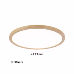 Paulmann Atria Shine Backlight