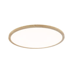 Paulmann Atria ceiling lighting LED