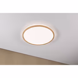 Paulmann Atria Shine Round 22 W