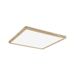 Paulmann Atria ceiling lighting LED E