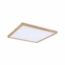 Paulmann Atria ceiling lighting LED E