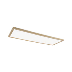 Paulmann Atria ceiling lighting LED E