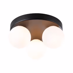 Paulmann Selection Bathroom Ceiling luminaire Gove