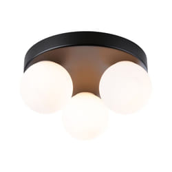 Paulmann Selection Bathroom Ceiling luminaire Gove