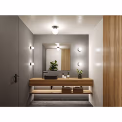 Paulmann Selection Bathroom LED Ceiling lamp luminaire Gove