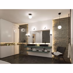 Paulmann Gove ceiling lighting Non-changeable bulb(s) LED E