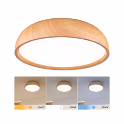 Paulmann Selection Bathroom LED Ceiling lamp luminaire Oka
