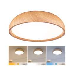 Paulmann Selection Bathroom LED Ceiling lamp luminaire Oka