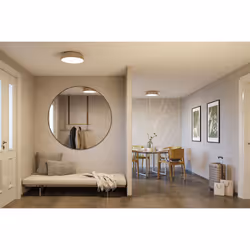 Paulmann Selection Bathroom LED Ceiling lamp luminaire Oka