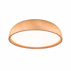 Paulmann Selection Bathroom LED Ceiling lamp luminaire Oka